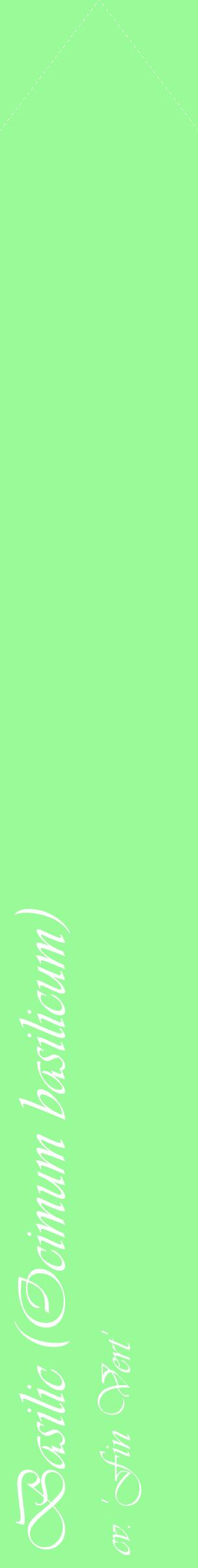 Étiquette de : Ocimum basilicum cv. 'Fin Vert' - format c - style blanche14_simpleviv avec comestibilité