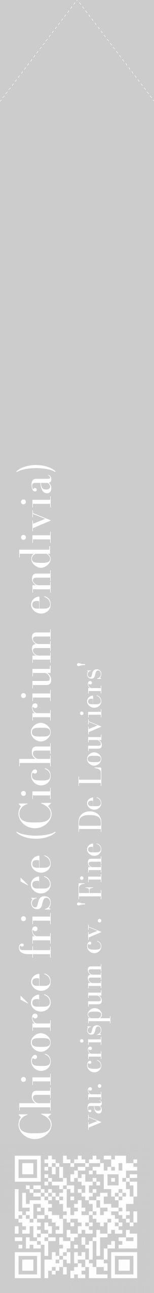 Étiquette de : Cichorium endivia var. crispum cv. 'Fine De Louviers' - format c - style blanche0_simple_simplebod avec qrcode et comestibilité - position verticale