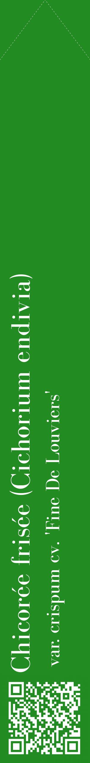 Étiquette de : Cichorium endivia var. crispum cv. 'Fine De Louviers' - format c - style blanche10_simplebod avec qrcode et comestibilité