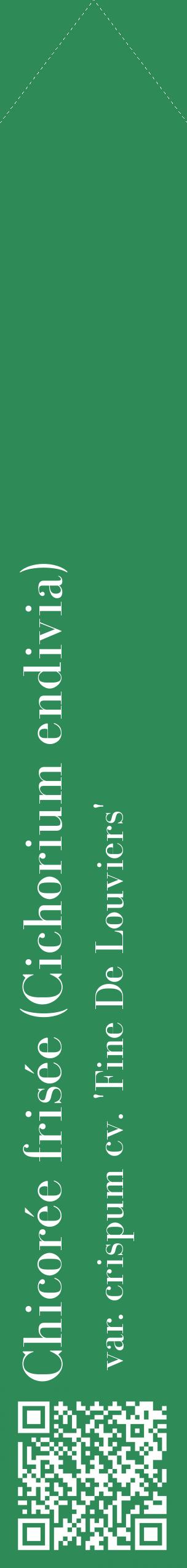 Étiquette de : Cichorium endivia var. crispum cv. 'Fine De Louviers' - format c - style blanche11_simplebod avec qrcode et comestibilité
