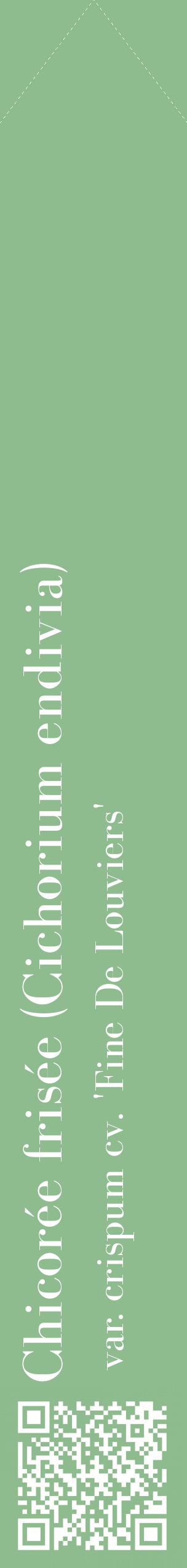 Étiquette de : Cichorium endivia var. crispum cv. 'Fine De Louviers' - format c - style blanche13_simplebod avec qrcode et comestibilité