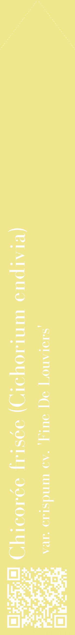 Étiquette de : Cichorium endivia var. crispum cv. 'Fine De Louviers' - format c - style blanche20_simplebod avec qrcode et comestibilité