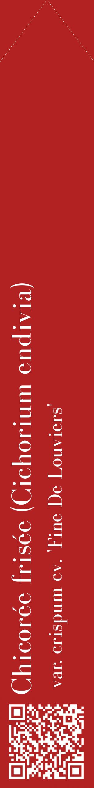 Étiquette de : Cichorium endivia var. crispum cv. 'Fine De Louviers' - format c - style blanche28_simplebod avec qrcode et comestibilité