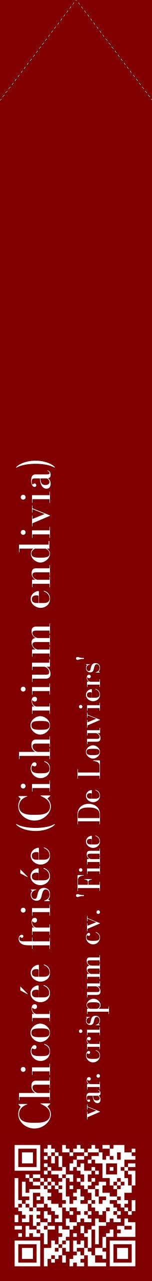 Étiquette de : Cichorium endivia var. crispum cv. 'Fine De Louviers' - format c - style blanche29_simplebod avec qrcode et comestibilité