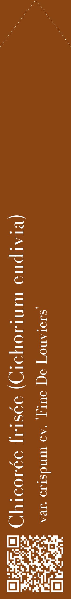 Étiquette de : Cichorium endivia var. crispum cv. 'Fine De Louviers' - format c - style blanche30_simplebod avec qrcode et comestibilité