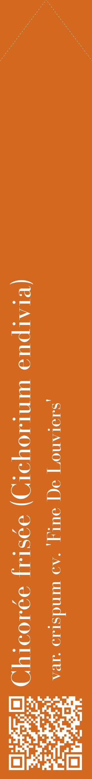 Étiquette de : Cichorium endivia var. crispum cv. 'Fine De Louviers' - format c - style blanche31_simplebod avec qrcode et comestibilité