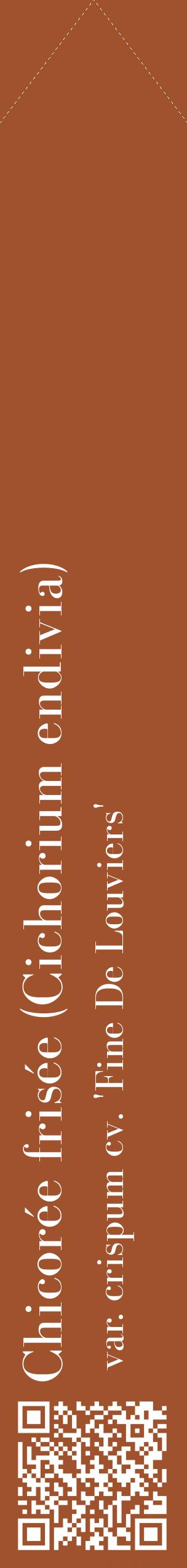 Étiquette de : Cichorium endivia var. crispum cv. 'Fine De Louviers' - format c - style blanche32_simplebod avec qrcode et comestibilité