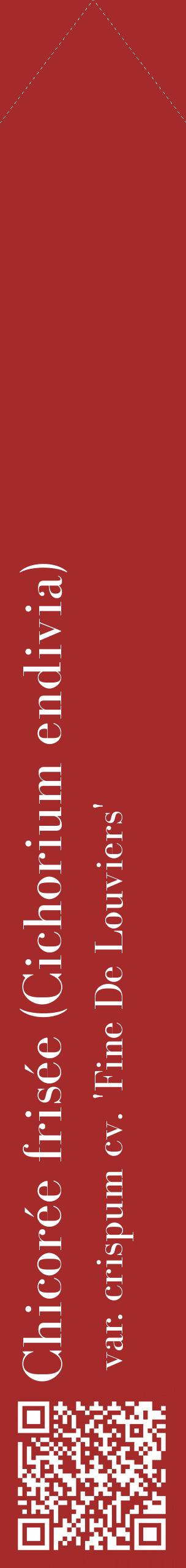 Étiquette de : Cichorium endivia var. crispum cv. 'Fine De Louviers' - format c - style blanche33_simplebod avec qrcode et comestibilité