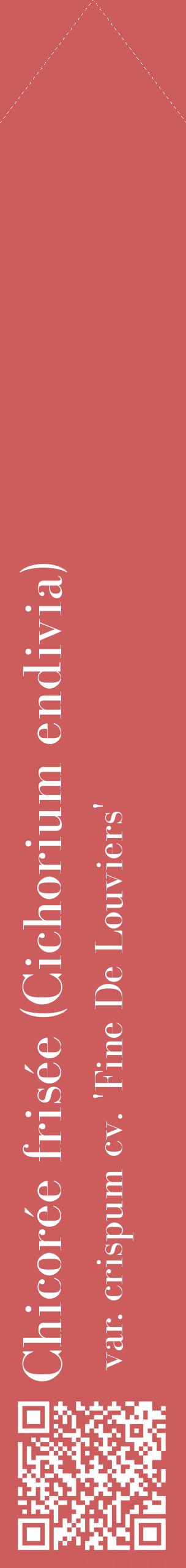 Étiquette de : Cichorium endivia var. crispum cv. 'Fine De Louviers' - format c - style blanche35_simplebod avec qrcode et comestibilité