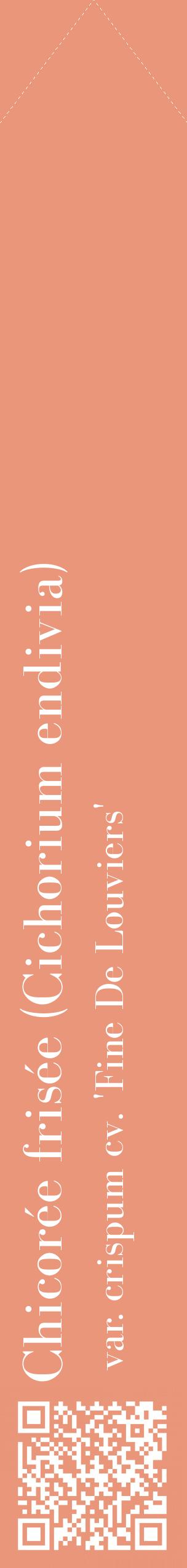 Étiquette de : Cichorium endivia var. crispum cv. 'Fine De Louviers' - format c - style blanche37_simplebod avec qrcode et comestibilité