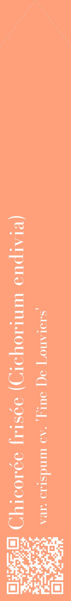 Étiquette de : Cichorium endivia var. crispum cv. 'Fine De Louviers' - format c - style blanche39_simplebod avec qrcode et comestibilité