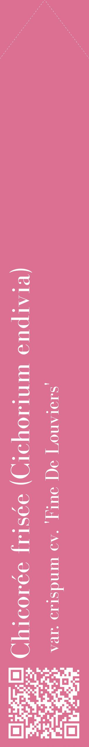 Étiquette de : Cichorium endivia var. crispum cv. 'Fine De Louviers' - format c - style blanche44_simplebod avec qrcode et comestibilité