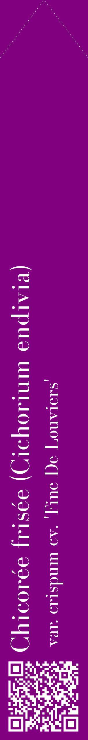 Étiquette de : Cichorium endivia var. crispum cv. 'Fine De Louviers' - format c - style blanche46_simplebod avec qrcode et comestibilité