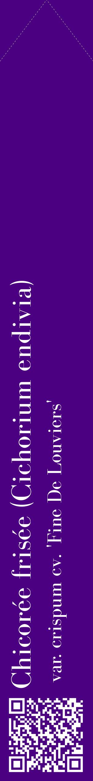 Étiquette de : Cichorium endivia var. crispum cv. 'Fine De Louviers' - format c - style blanche47_simplebod avec qrcode et comestibilité
