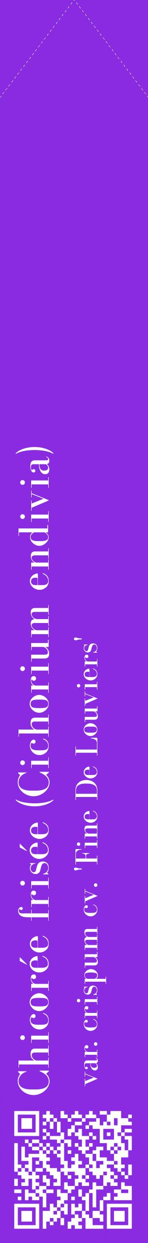 Étiquette de : Cichorium endivia var. crispum cv. 'Fine De Louviers' - format c - style blanche49_simplebod avec qrcode et comestibilité