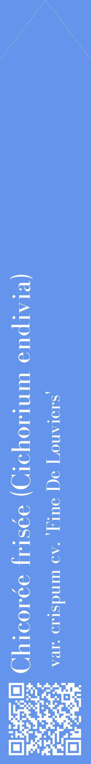 Étiquette de : Cichorium endivia var. crispum cv. 'Fine De Louviers' - format c - style blanche4_simplebod avec qrcode et comestibilité