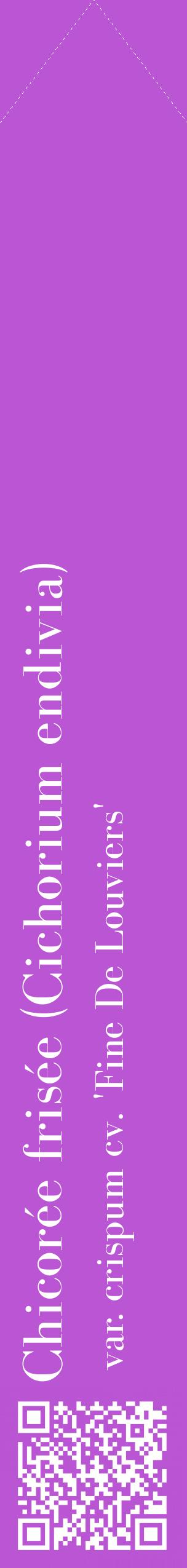 Étiquette de : Cichorium endivia var. crispum cv. 'Fine De Louviers' - format c - style blanche50_simplebod avec qrcode et comestibilité
