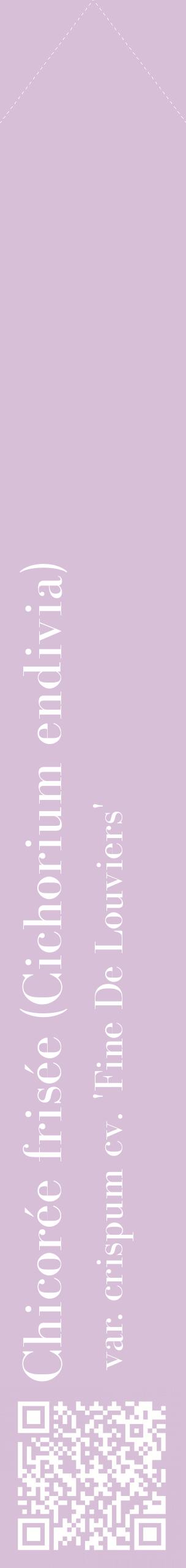 Étiquette de : Cichorium endivia var. crispum cv. 'Fine De Louviers' - format c - style blanche54_simplebod avec qrcode et comestibilité