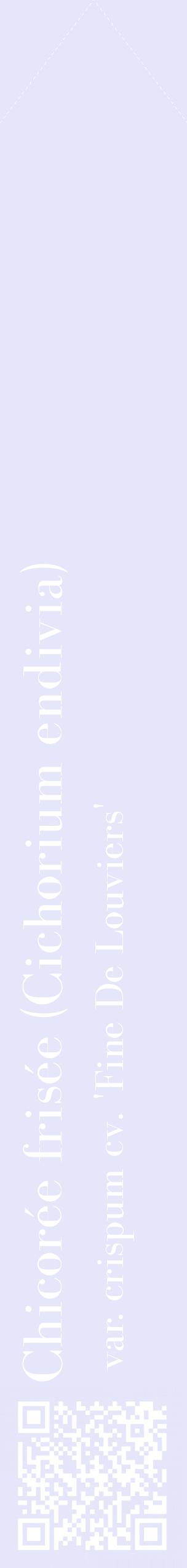 Étiquette de : Cichorium endivia var. crispum cv. 'Fine De Louviers' - format c - style blanche55_simplebod avec qrcode et comestibilité