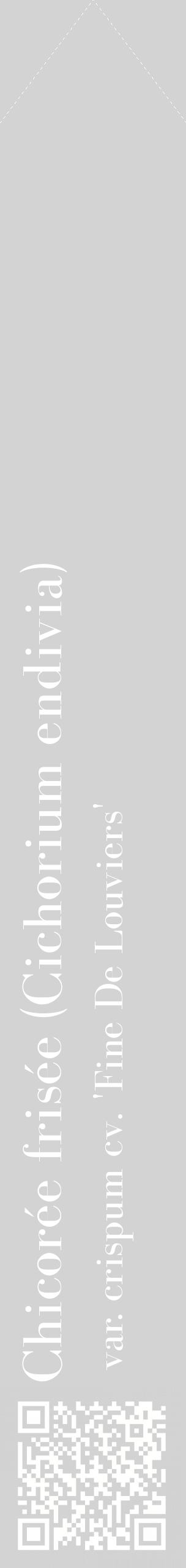 Étiquette de : Cichorium endivia var. crispum cv. 'Fine De Louviers' - format c - style blanche56_simplebod avec qrcode et comestibilité