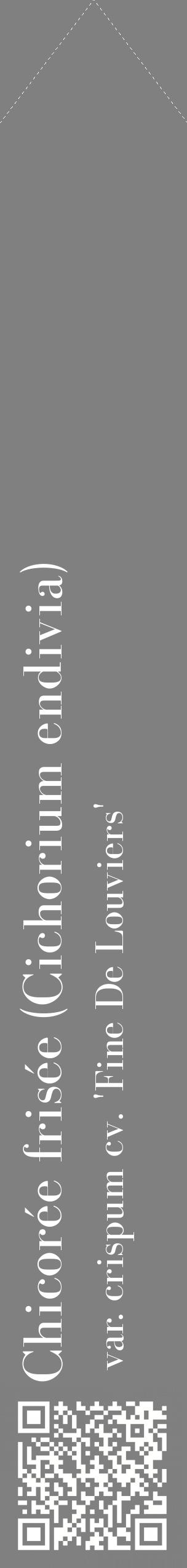 Étiquette de : Cichorium endivia var. crispum cv. 'Fine De Louviers' - format c - style blanche57_simplebod avec qrcode et comestibilité