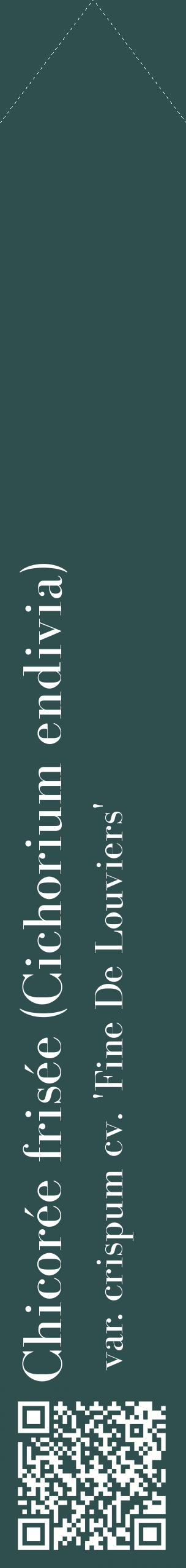 Étiquette de : Cichorium endivia var. crispum cv. 'Fine De Louviers' - format c - style blanche58_simplebod avec qrcode et comestibilité