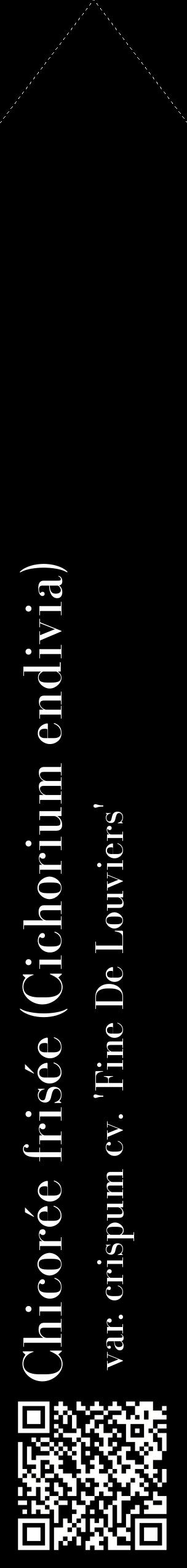 Étiquette de : Cichorium endivia var. crispum cv. 'Fine De Louviers' - format c - style blanche59_simplebod avec qrcode et comestibilité