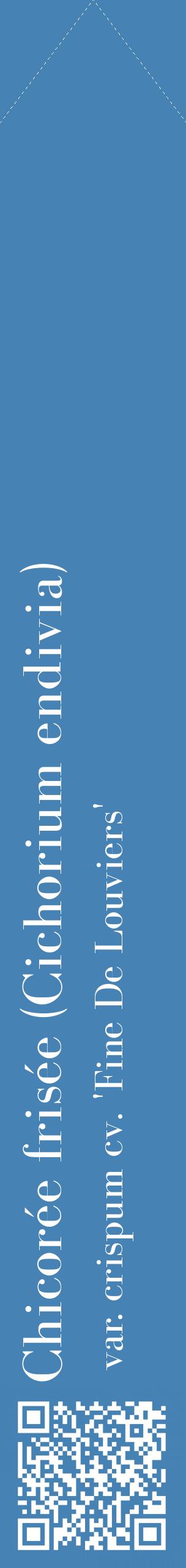 Étiquette de : Cichorium endivia var. crispum cv. 'Fine De Louviers' - format c - style blanche5_simplebod avec qrcode et comestibilité