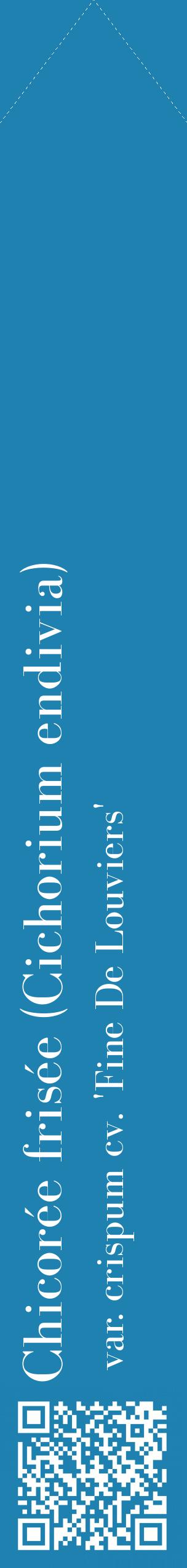 Étiquette de : Cichorium endivia var. crispum cv. 'Fine De Louviers' - format c - style blanche6_simplebod avec qrcode et comestibilité