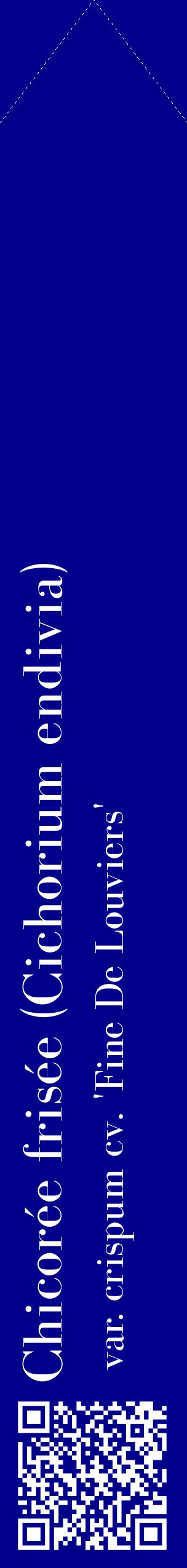Étiquette de : Cichorium endivia var. crispum cv. 'Fine De Louviers' - format c - style blanche7_simplebod avec qrcode et comestibilité