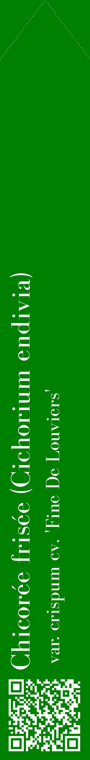 Étiquette de : Cichorium endivia var. crispum cv. 'Fine De Louviers' - format c - style blanche9_simplebod avec qrcode et comestibilité