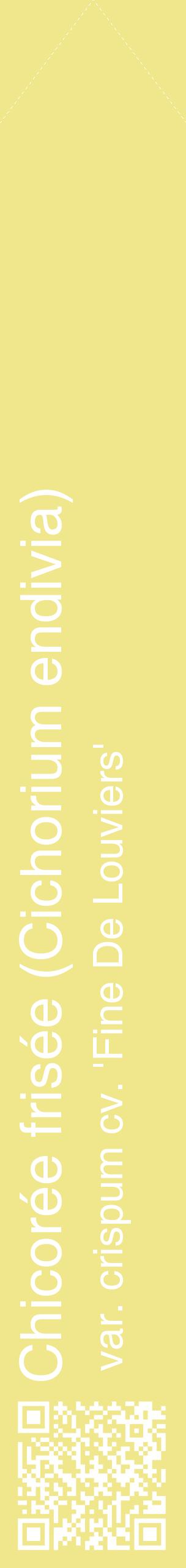 Étiquette de : Cichorium endivia var. crispum cv. 'Fine De Louviers' - format c - style blanche20_simplehel avec qrcode et comestibilité