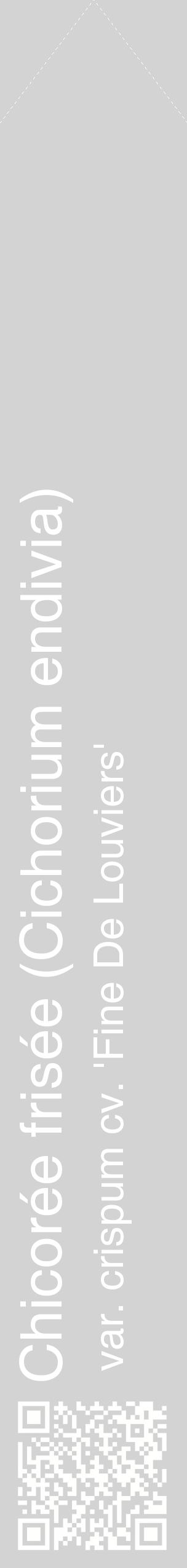 Étiquette de : Cichorium endivia var. crispum cv. 'Fine De Louviers' - format c - style blanche56_simplehel avec qrcode et comestibilité