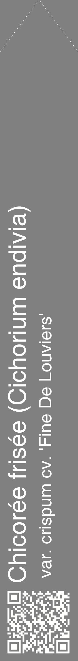 Étiquette de : Cichorium endivia var. crispum cv. 'Fine De Louviers' - format c - style blanche57_simplehel avec qrcode et comestibilité