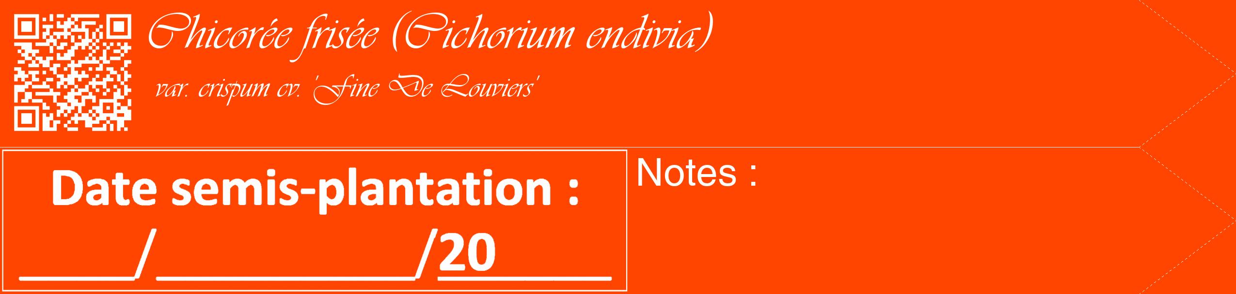 Étiquette de : Cichorium endivia var. crispum cv. 'Fine De Louviers' - format c - style blanche26_simple_simpleviv avec qrcode et comestibilité