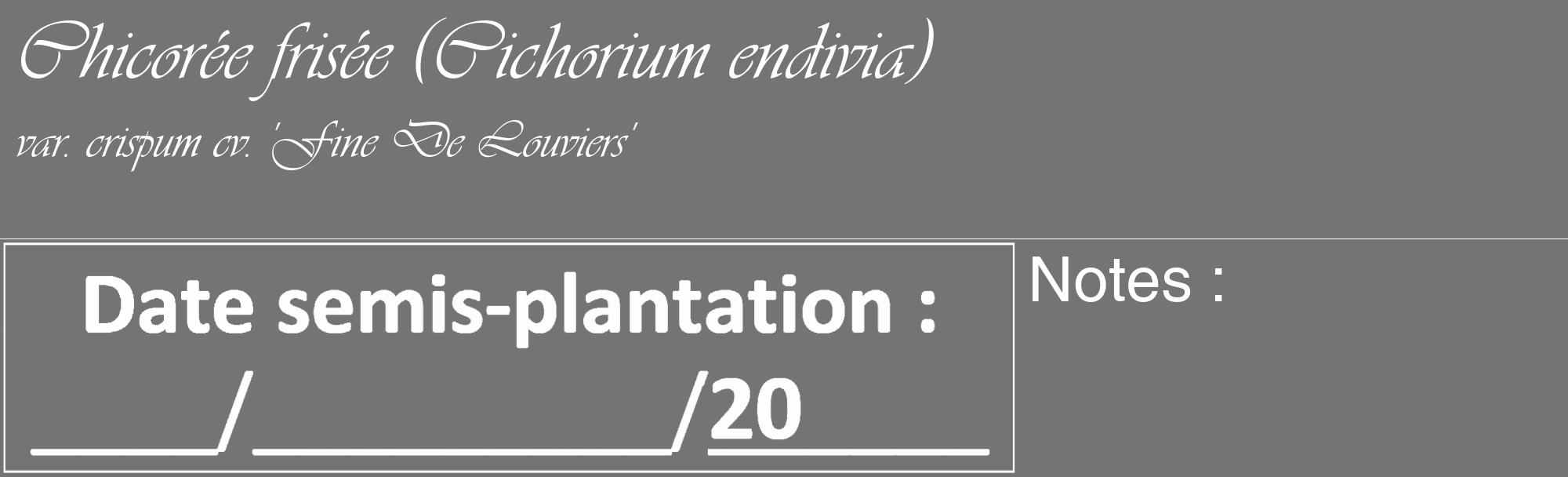 Étiquette de : Cichorium endivia var. crispum cv. 'Fine De Louviers' - format c - style blanche26_basique_basiqueviv avec comestibilité