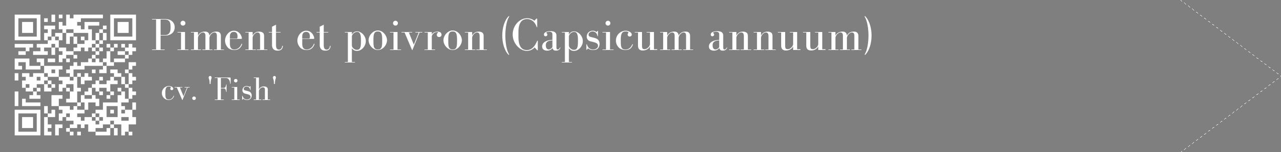 Étiquette de : Capsicum annuum cv. 'Fish' - format c - style blanche31_simple_simplebod avec qrcode et comestibilité
