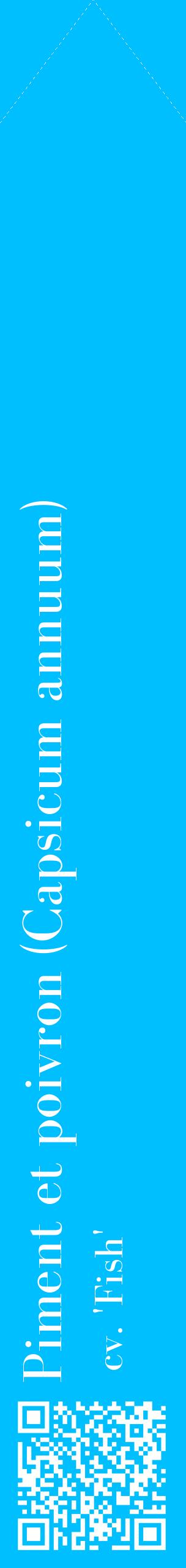 Étiquette de : Capsicum annuum cv. 'Fish' - format c - style blanche2_simplebod avec qrcode et comestibilité