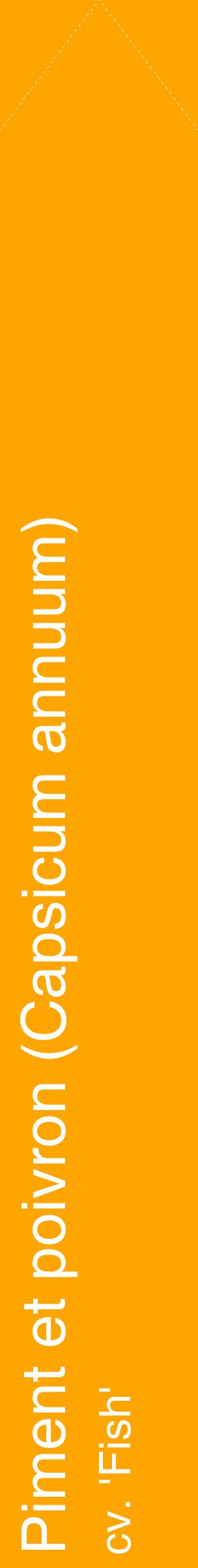 Étiquette de : Capsicum annuum cv. 'Fish' - format c - style blanche22_simplehel avec comestibilité