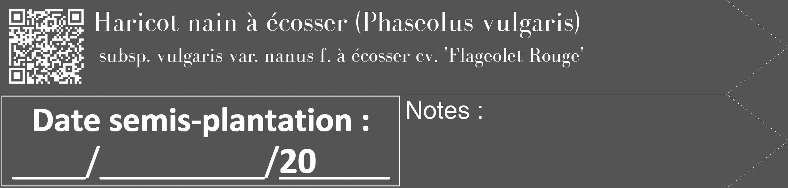 Étiquette de : Phaseolus vulgaris subsp. vulgaris var. nanus f. à écosser cv. 'Flageolet Rouge' - format c - style blanche36_simple_simplebod avec qrcode et comestibilité