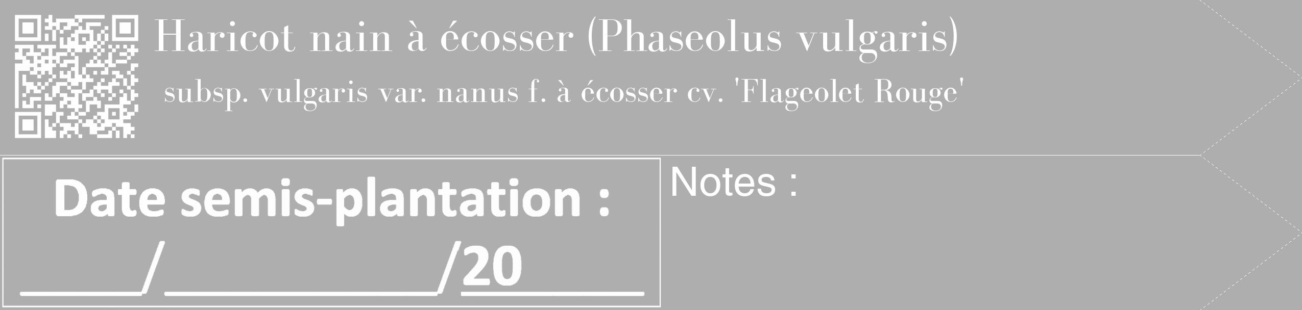 Étiquette de : Phaseolus vulgaris subsp. vulgaris var. nanus f. à écosser cv. 'Flageolet Rouge' - format c - style blanche53_simple_simplebod avec qrcode et comestibilité