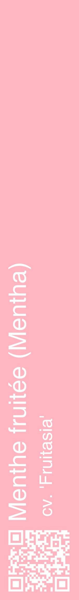 Étiquette de : Mentha cv. 'Fruitasia' - format c - style blanche41_basiquehel avec qrcode et comestibilité