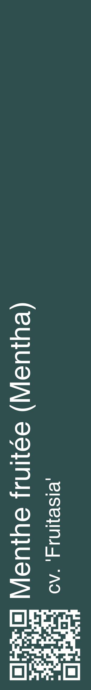 Étiquette de : Mentha cv. 'Fruitasia' - format c - style blanche58_basiquehel avec qrcode et comestibilité