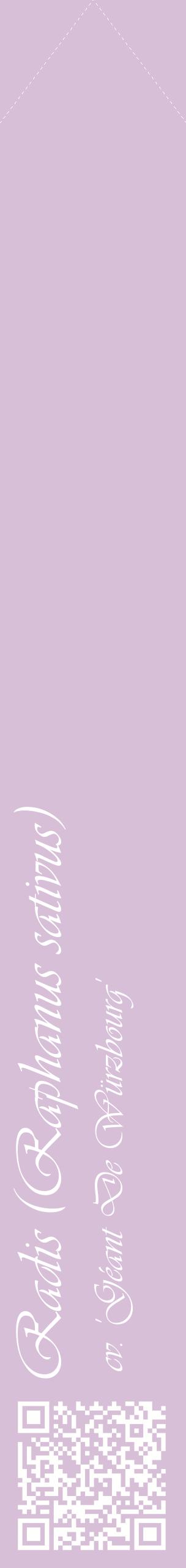 Étiquette de : Raphanus sativus cv. 'Géant De Würzbourg' - format c - style blanche54_simpleviv avec qrcode et comestibilité