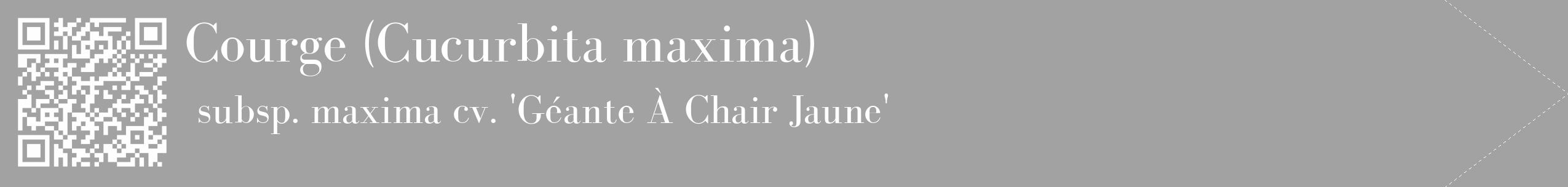 Étiquette de : Cucurbita maxima subsp. maxima cv. 'Géante À Chair Jaune' - format c - style blanche38_simple_simplebod avec qrcode et comestibilité