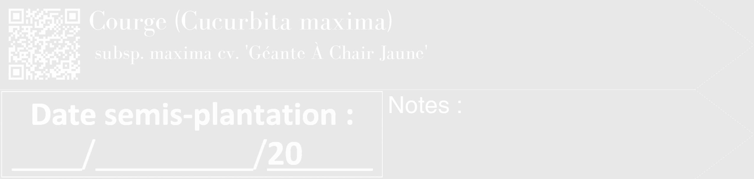 Étiquette de : Cucurbita maxima subsp. maxima cv. 'Géante À Chair Jaune' - format c - style blanche55_simple_simplebod avec qrcode et comestibilité