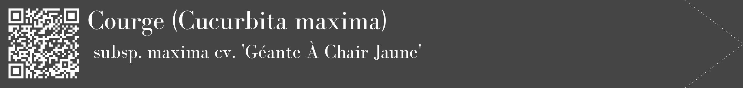 Étiquette de : Cucurbita maxima subsp. maxima cv. 'Géante À Chair Jaune' - format c - style blanche58_simple_simplebod avec qrcode et comestibilité