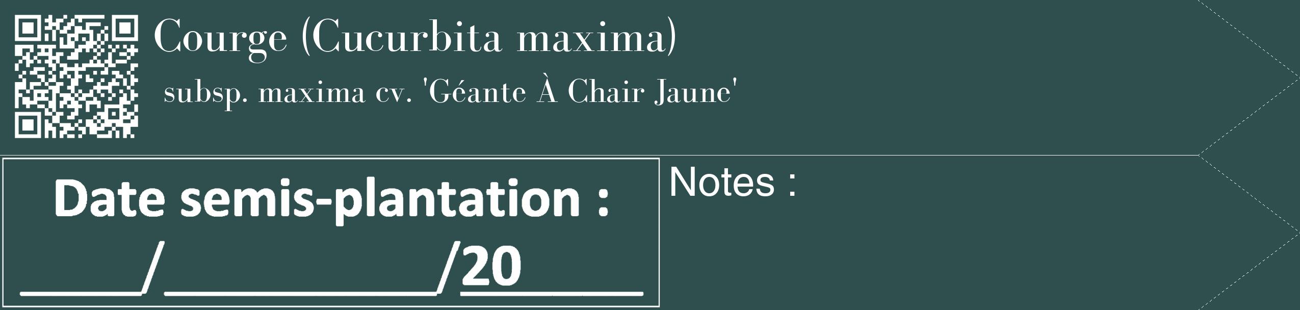 Étiquette de : Cucurbita maxima subsp. maxima cv. 'Géante À Chair Jaune' - format c - style blanche58_simple_simplebod avec qrcode et comestibilité