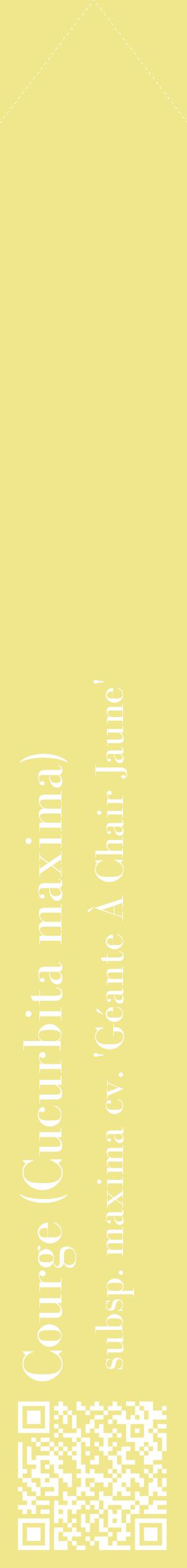 Étiquette de : Cucurbita maxima subsp. maxima cv. 'Géante À Chair Jaune' - format c - style blanche20_simplebod avec qrcode et comestibilité