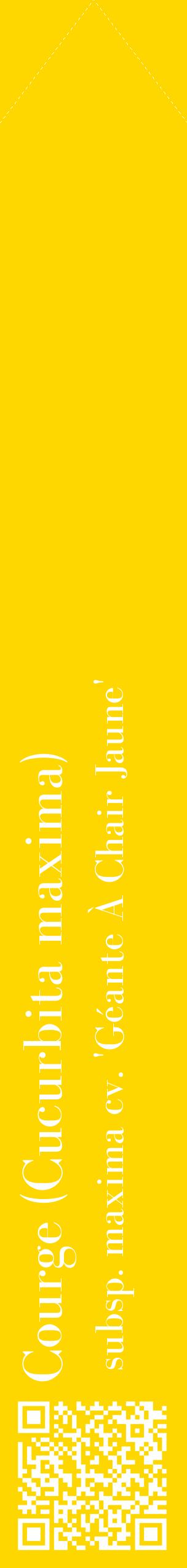 Étiquette de : Cucurbita maxima subsp. maxima cv. 'Géante À Chair Jaune' - format c - style blanche21_simplebod avec qrcode et comestibilité